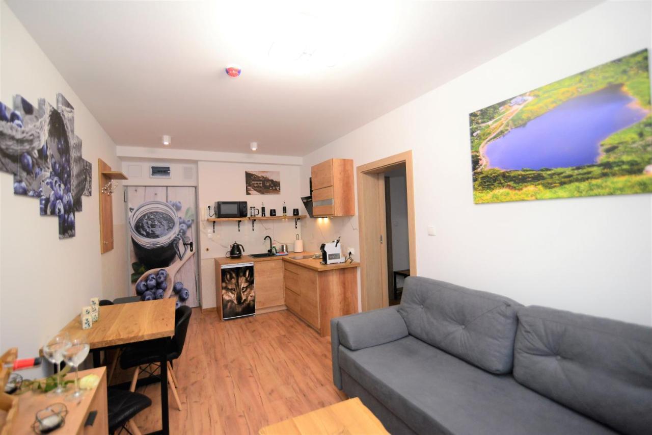 Apartament De Luxe Emily カルパッチ エクステリア 写真